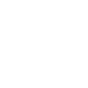 Dostojna rakija beli logo